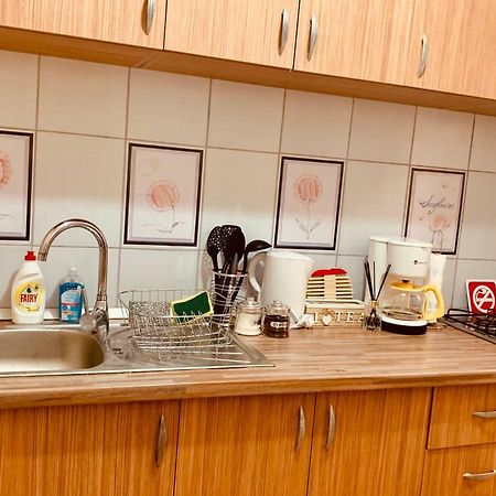 Ultracentral Apartment With All You Need: Wifi, Tv, Ac, Washer, Coffe Timisoara Luaran gambar