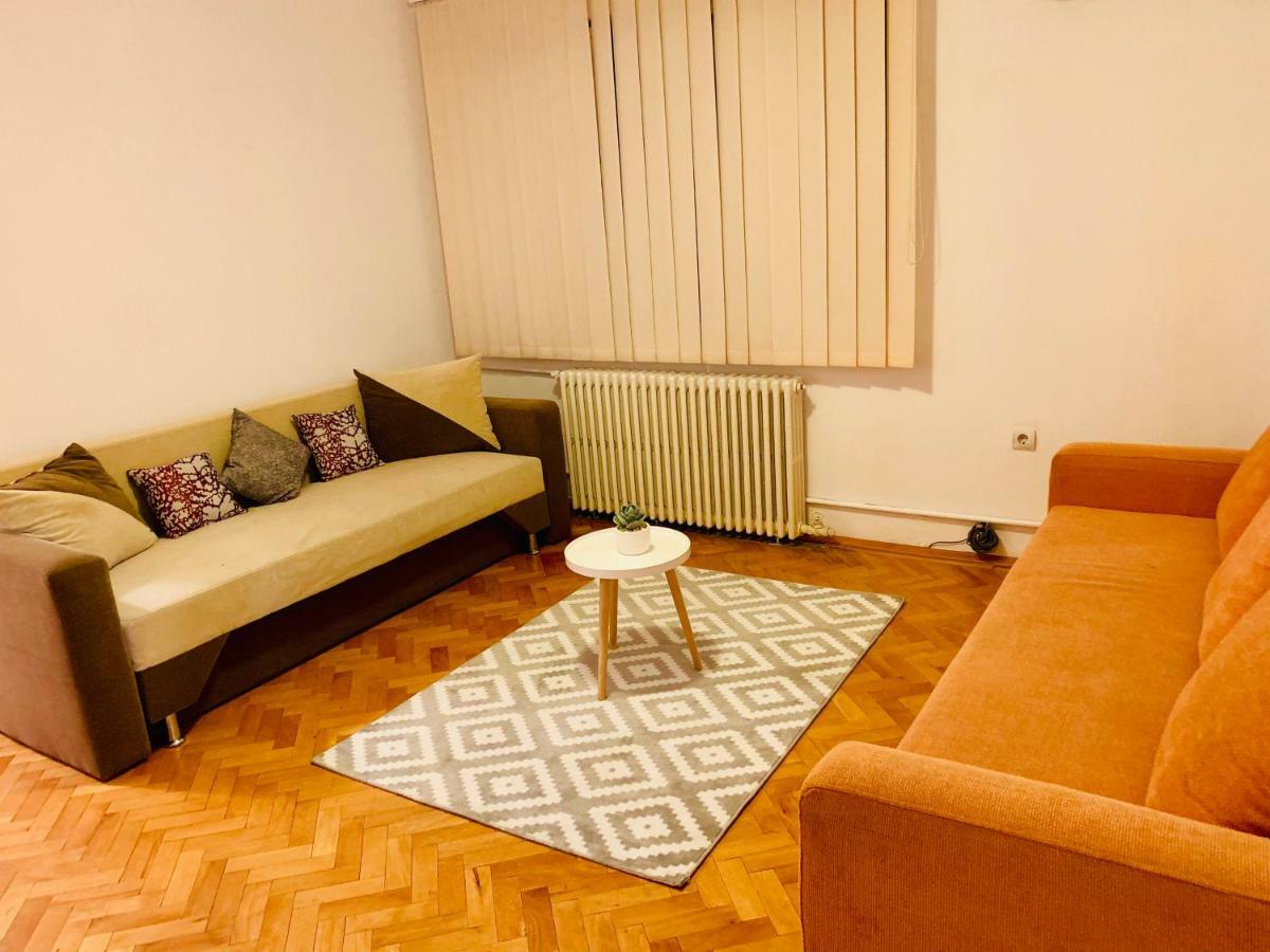 Ultracentral Apartment With All You Need: Wifi, Tv, Ac, Washer, Coffe Timisoara Luaran gambar