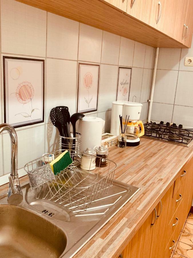 Ultracentral Apartment With All You Need: Wifi, Tv, Ac, Washer, Coffe Timisoara Luaran gambar