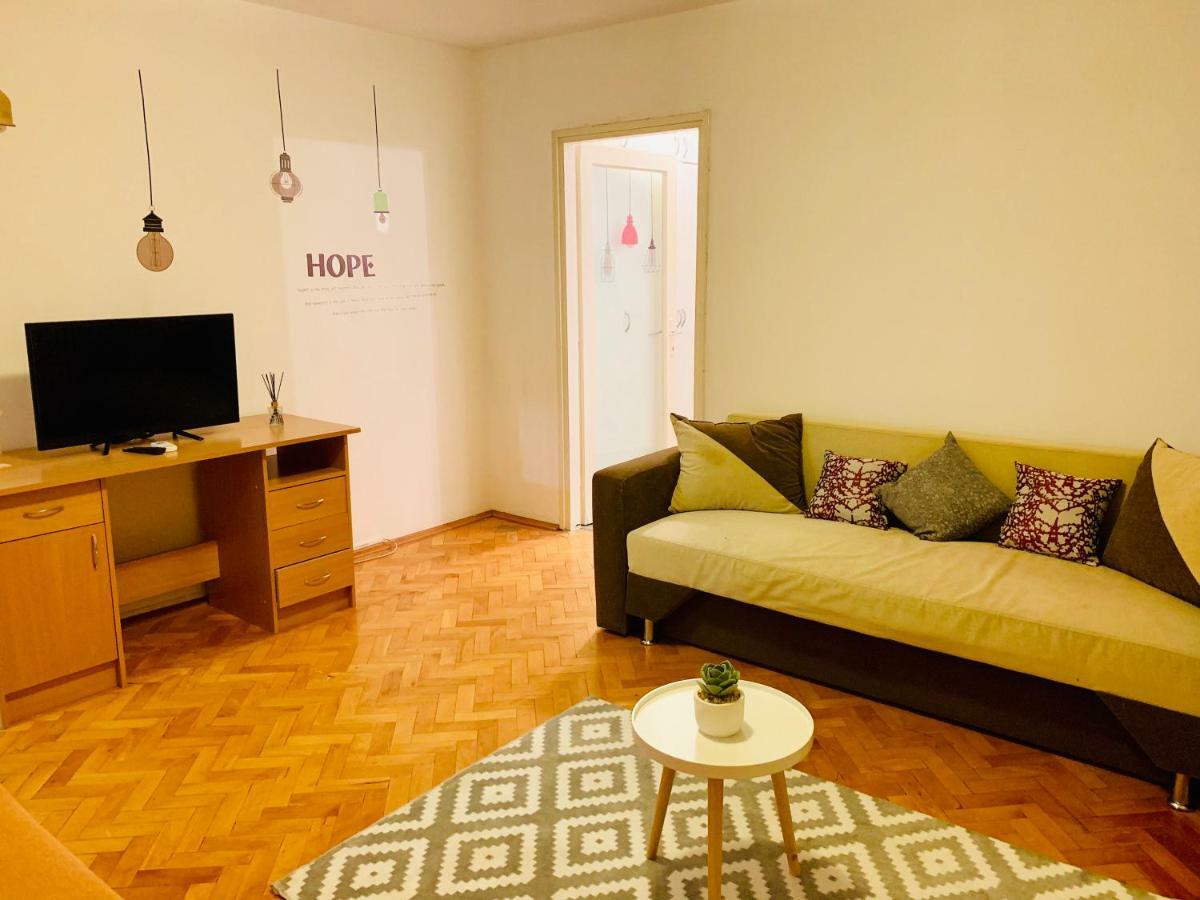 Ultracentral Apartment With All You Need: Wifi, Tv, Ac, Washer, Coffe Timisoara Luaran gambar