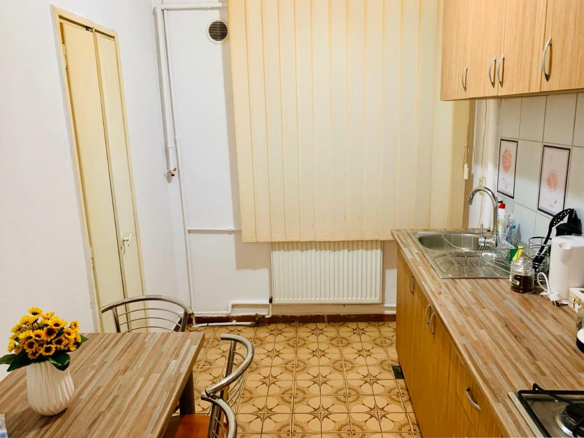 Ultracentral Apartment With All You Need: Wifi, Tv, Ac, Washer, Coffe Timisoara Luaran gambar
