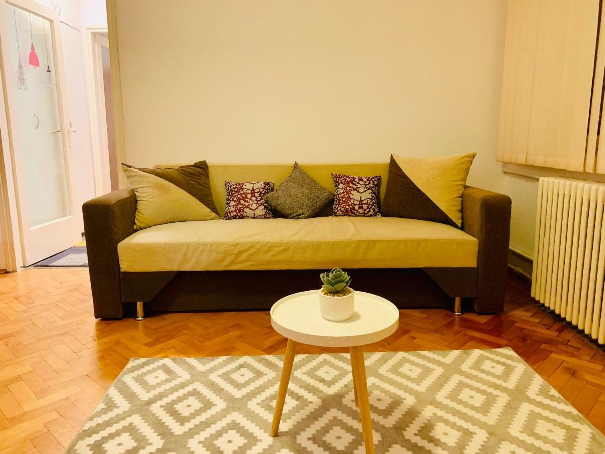 Ultracentral Apartment With All You Need: Wifi, Tv, Ac, Washer, Coffe Timisoara Luaran gambar