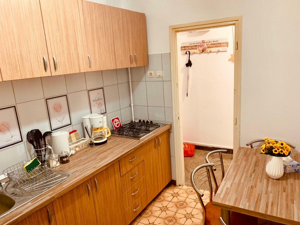 Ultracentral Apartment With All You Need: Wifi, Tv, Ac, Washer, Coffe Timisoara Luaran gambar